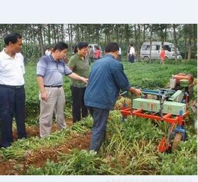 辛集市新型花生收获机 睿智升级版链条收获机的品质保证与供应商优势